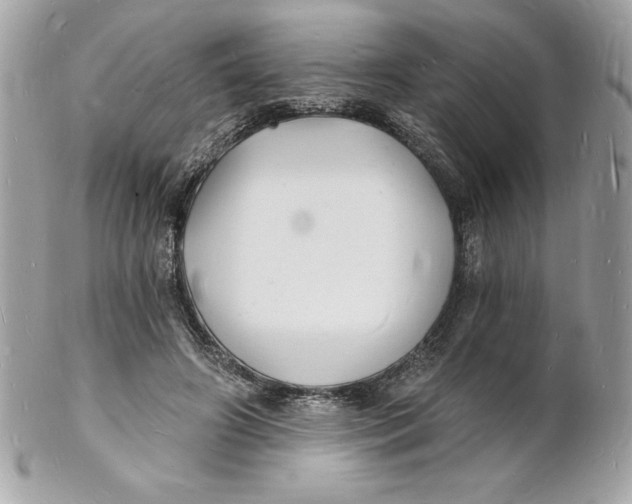 X0000102220498200808151709