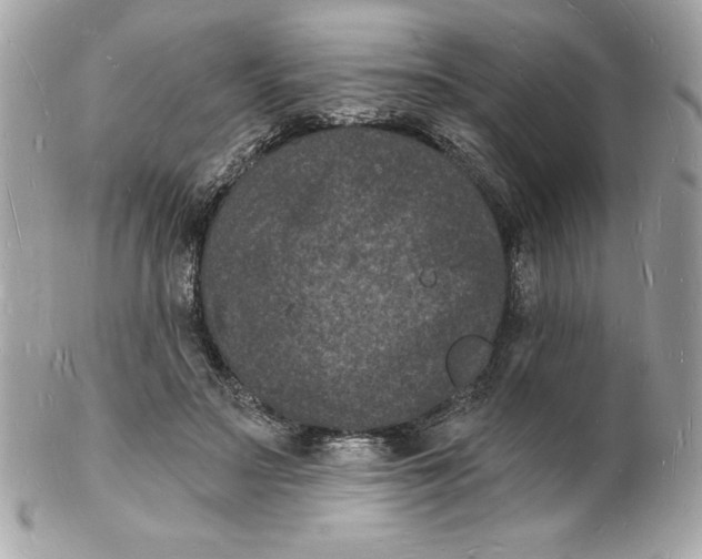 X0000102220499200808151709