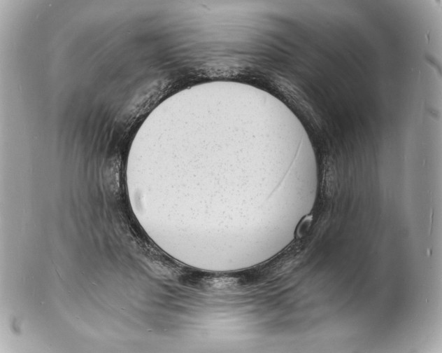 X0000102220501200808151709