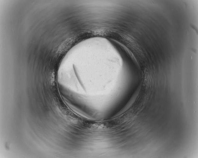 X0000102220502200808151709