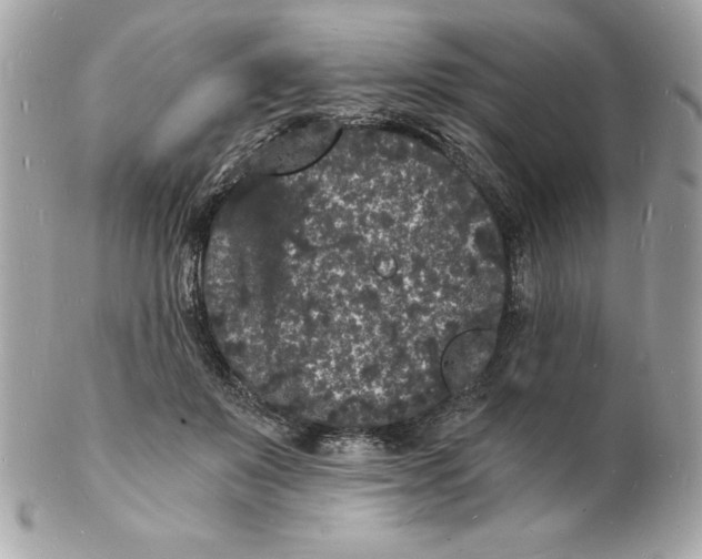 X0000102220503200808151709