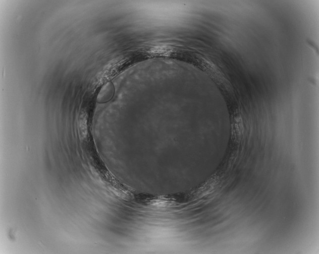 X0000102220504200808151709