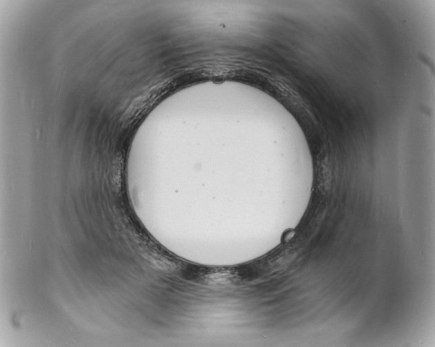 X0000102220505200808151709