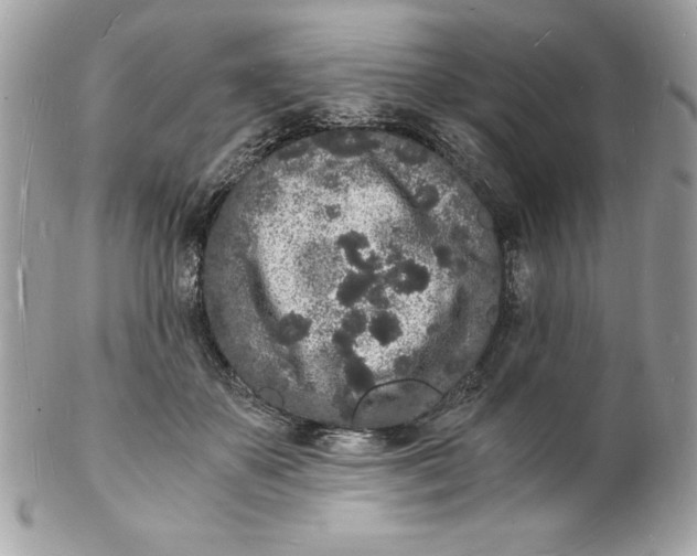 X0000102220507200808151709