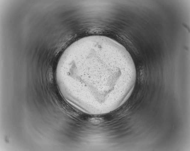 X0000102220508200808151709