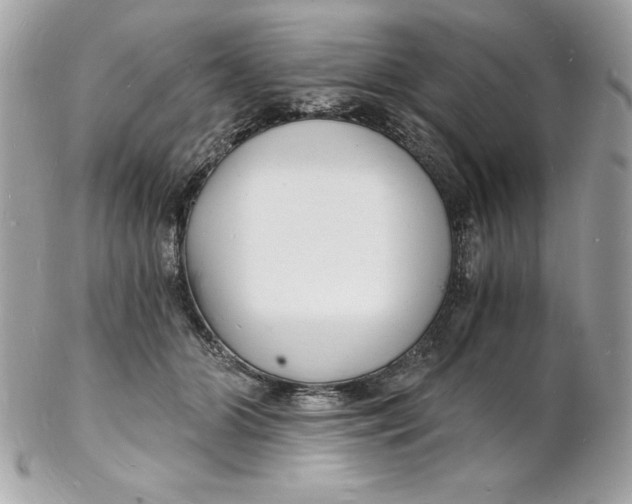 X0000102220510200808151709