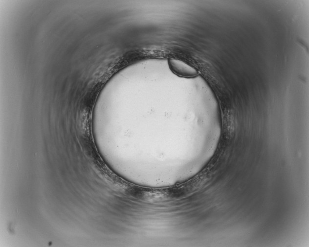 X0000102220511200808151708