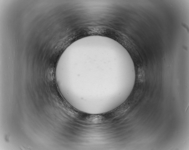 X0000102220514200808151708