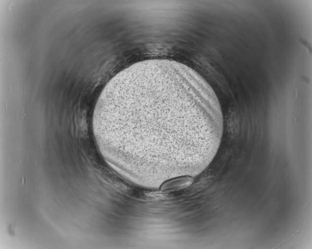 X0000102220516200808151708