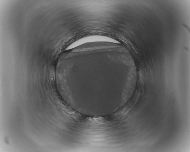 X0000102220517200808151708