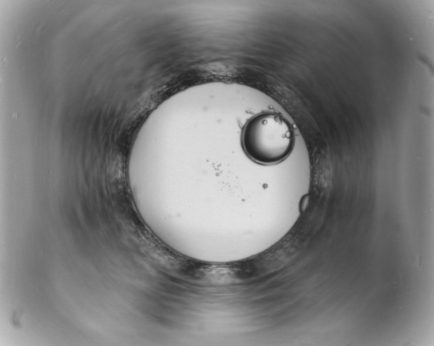 X0000102220518200808151708