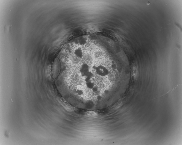 X0000102220519200808151708