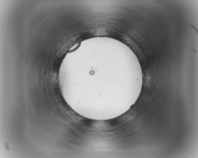 X0000102220521200808151708