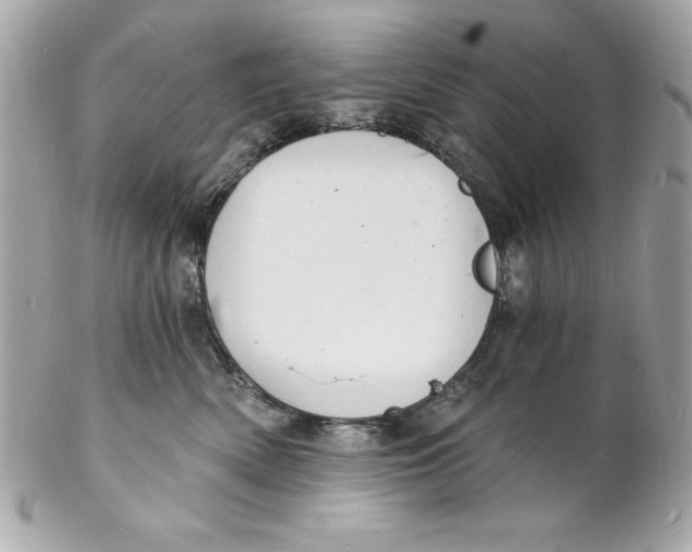 X0000102220522200808151708