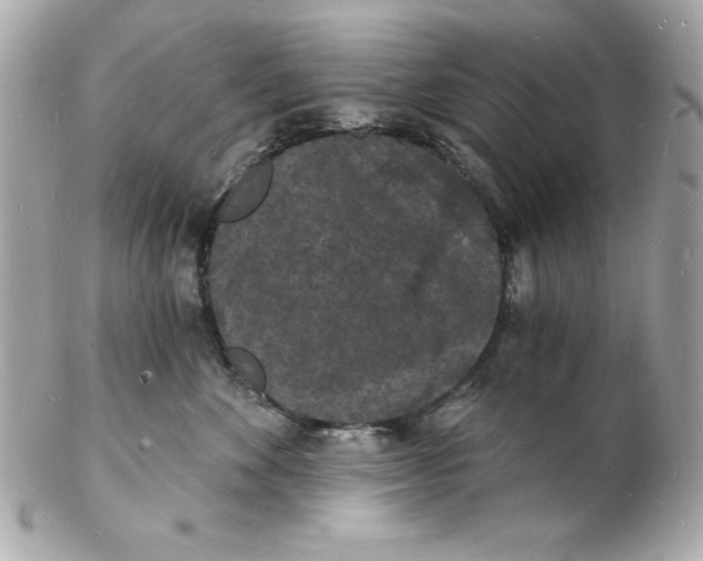 X0000102220524200808151708