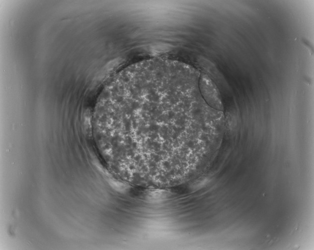 X0000102220527200808151708