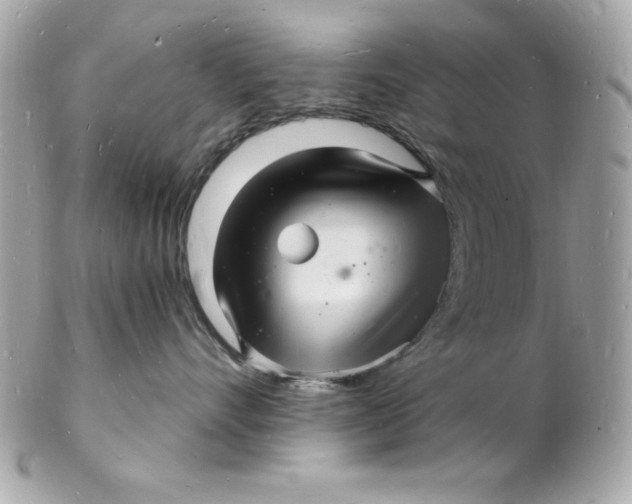 X0000102220528200808151708