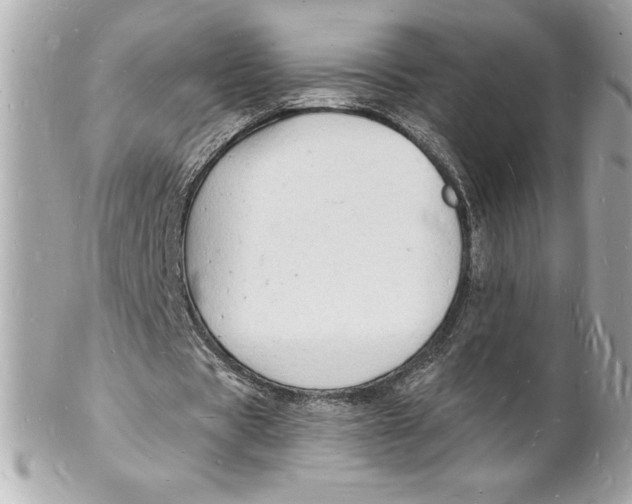 X0000102220529200808151707