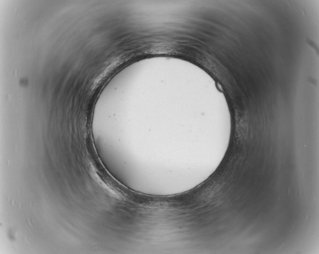 X0000102220530200808151707