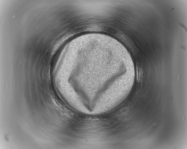 X0000102220531200808151707