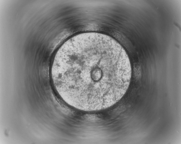 X0000102220534200808151707