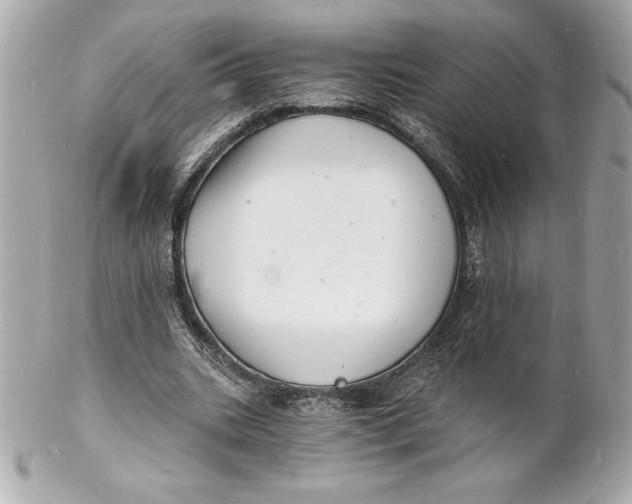 X0000102220535200808151707