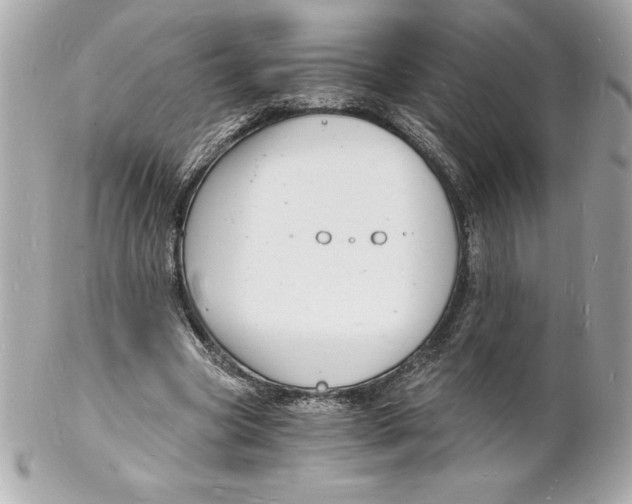 X0000102220537200808151707