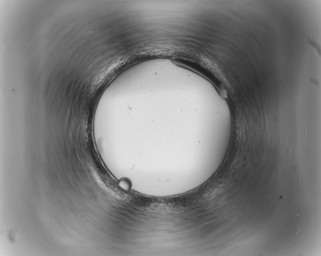 X0000102220538200808151708