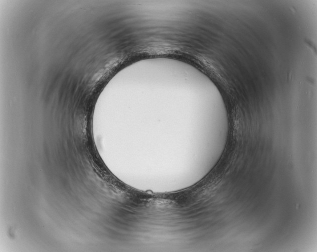 X0000102220539200808151708