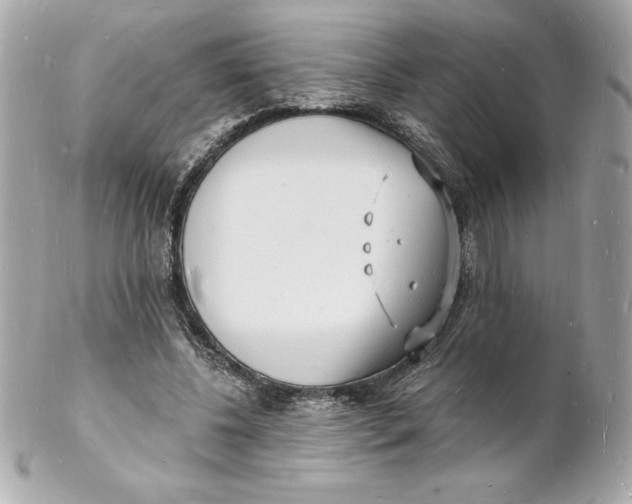 X0000102220540200808151708