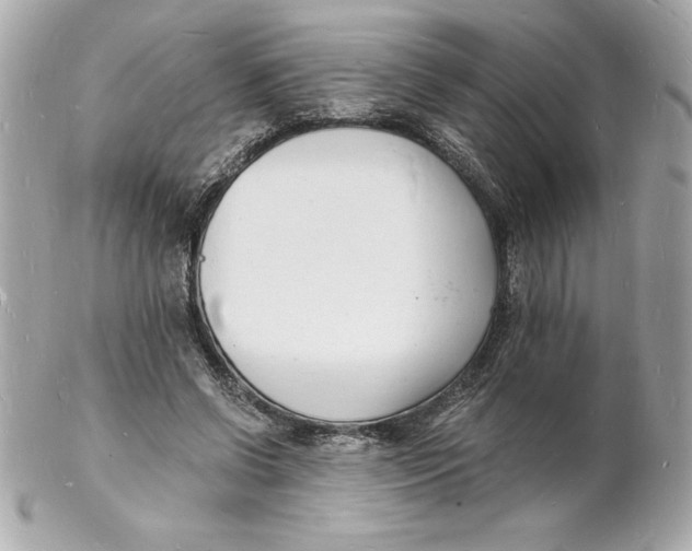 X0000102220542200808151708