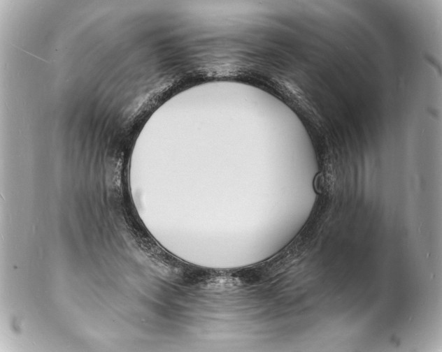 X0000102220543200808151708