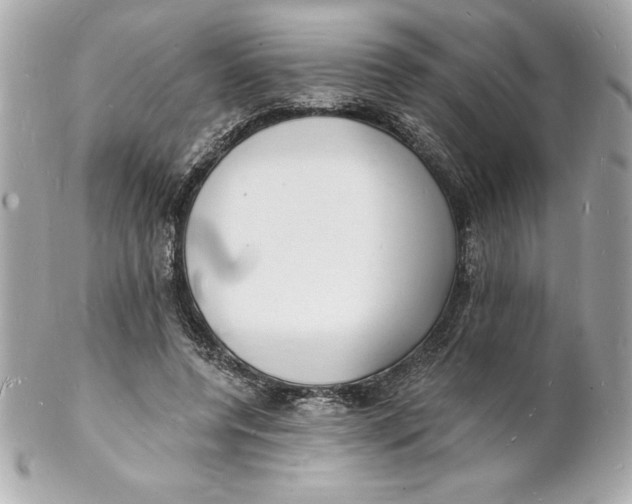 X0000102220544200808151708