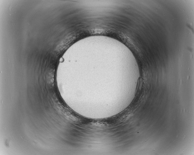 X0000102220545200808151708