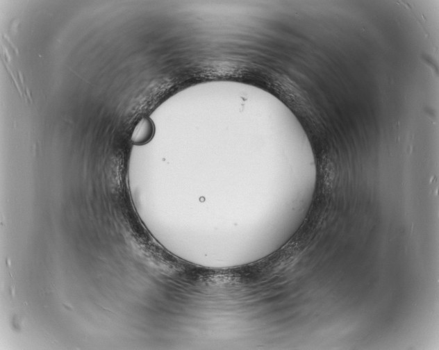 X0000102220546200808151708