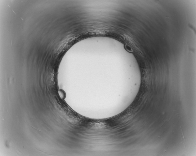 X0000102220548200808151708