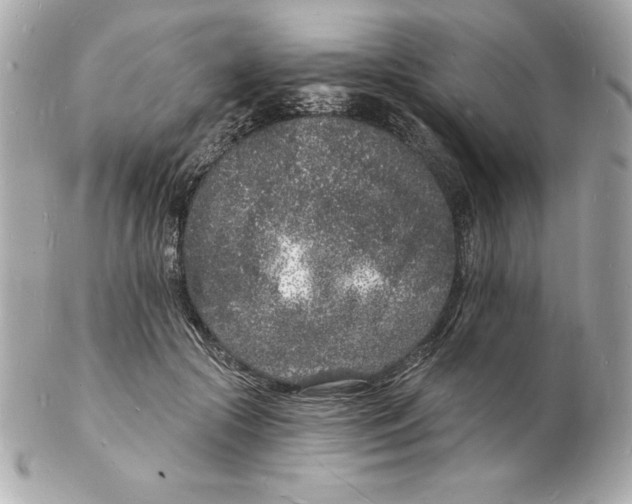 X0000102220553200808151708