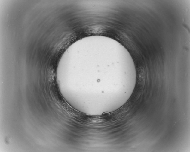 X0000102220555200808151708