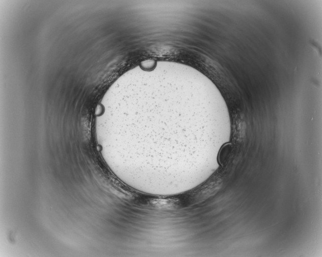 X0000102220558200808151708