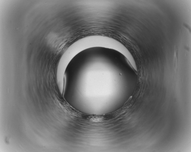 X0000102220560200808151708