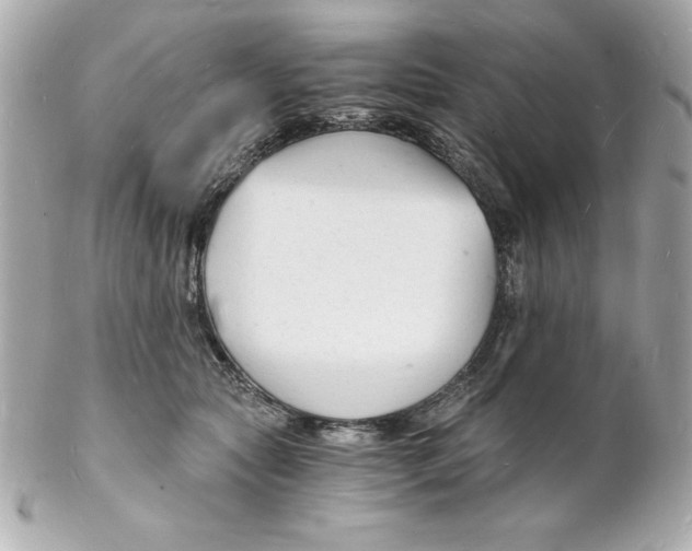 X0000102220561200808151708