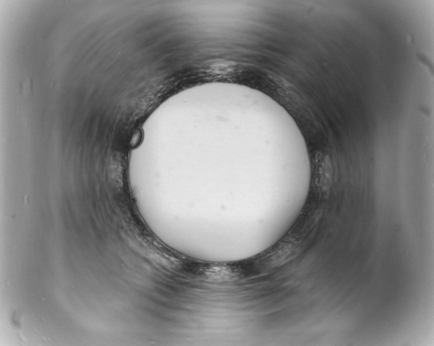 X0000102220562200808151708