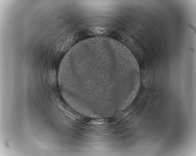 X0000102220563200808151708