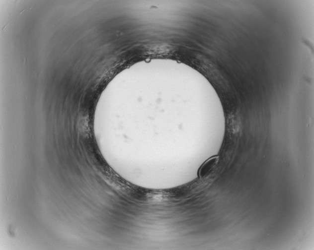 X0000102220564200808151708