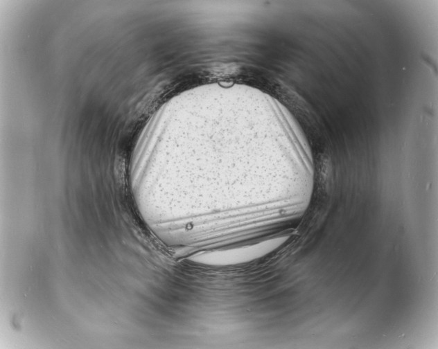 X0000102220565200808151708