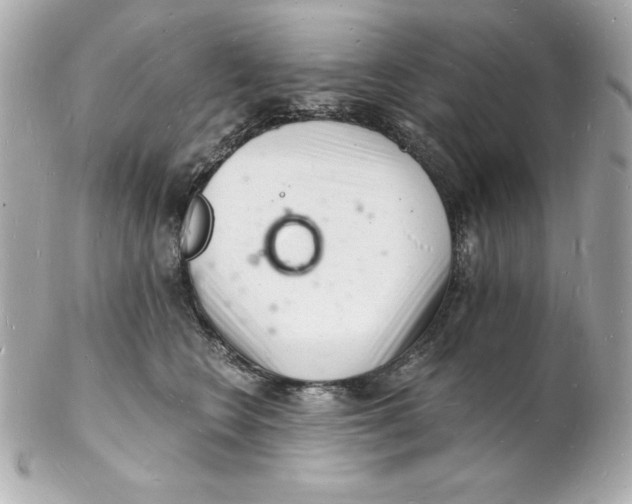 X0000102220566200808151708