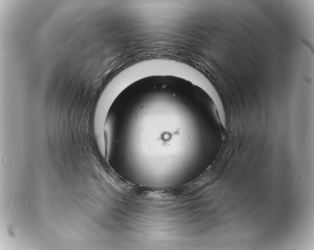 X0000102220568200808151708