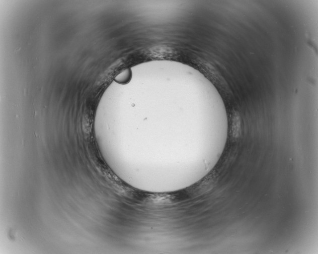 X0000102220569200808151708