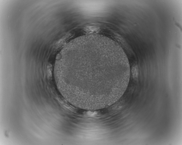 X0000102220570200808151708