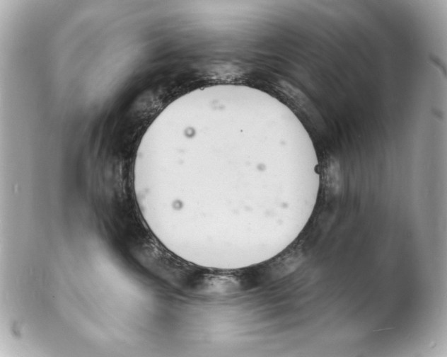 X0000102220572200808151708